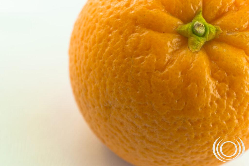 Orange fruit